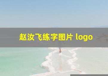 赵汝飞练字图片 logo